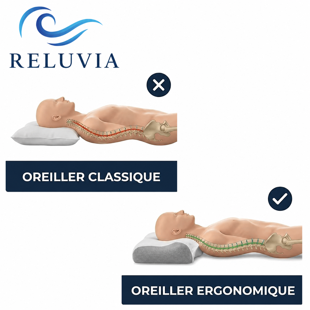 Oreiller ergonomique | Reluvia — Soutien cervical en mémoire de forme pour un sommeil réparateur